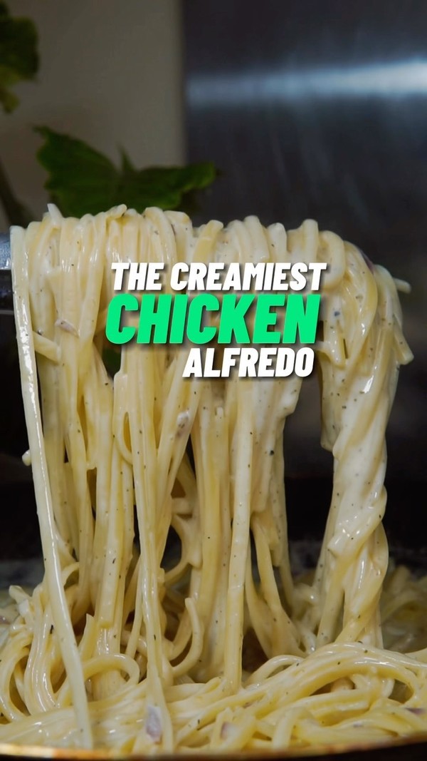 Creamy Chicken Alfredo