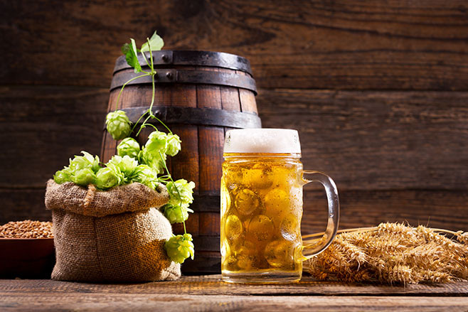 Mug of beer with green hops, wheat ears, grains and wooden barrel on wooden background