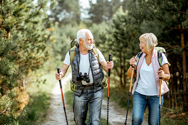 Happy senior couple hiking with trekking sticks and backpacks at the young pine forest. Enjoying nature, having a good time on their retirement