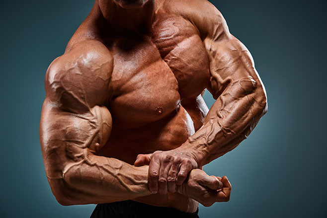 The torso of attractive male body builder on gray background.