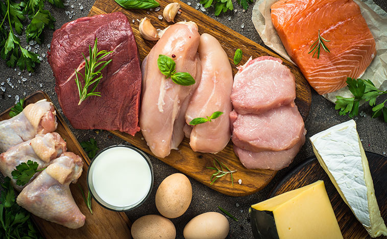 Top 5 Sources of Animal Protein for Your Meal Prep | MealPrep