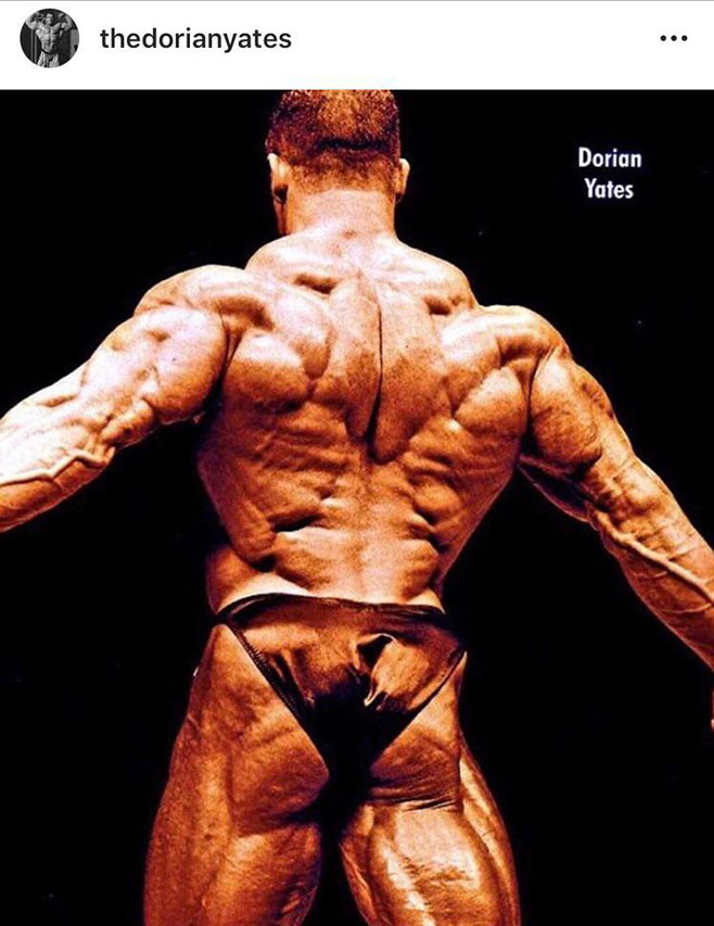 Dorian Yates 6 x Mr Olympia one of the best back in bodybuilding - YouTube