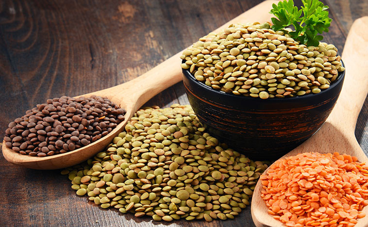 Top 5 Sources of Plant-Based Protein for Your Meal Prep