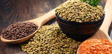 Top 5 Sources of Plant-Based Protein for Your Meal Prep