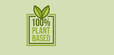 9 Plant-Based Whey Protein Alternatives