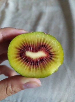 Red Kiwi Fruit