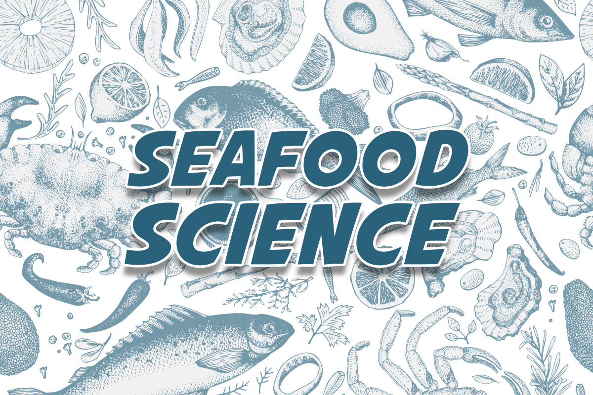 Nutritional benefits of including Seafood in your diet