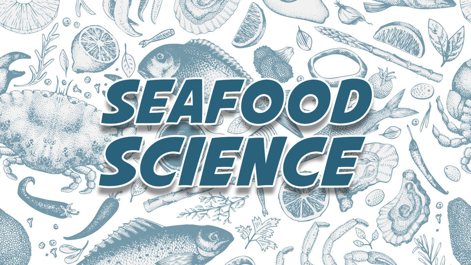 Nutritional benefits of including Seafood in your diet