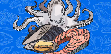 Australian Seafood Sustainability – Why Give A Fish & What You Can Do