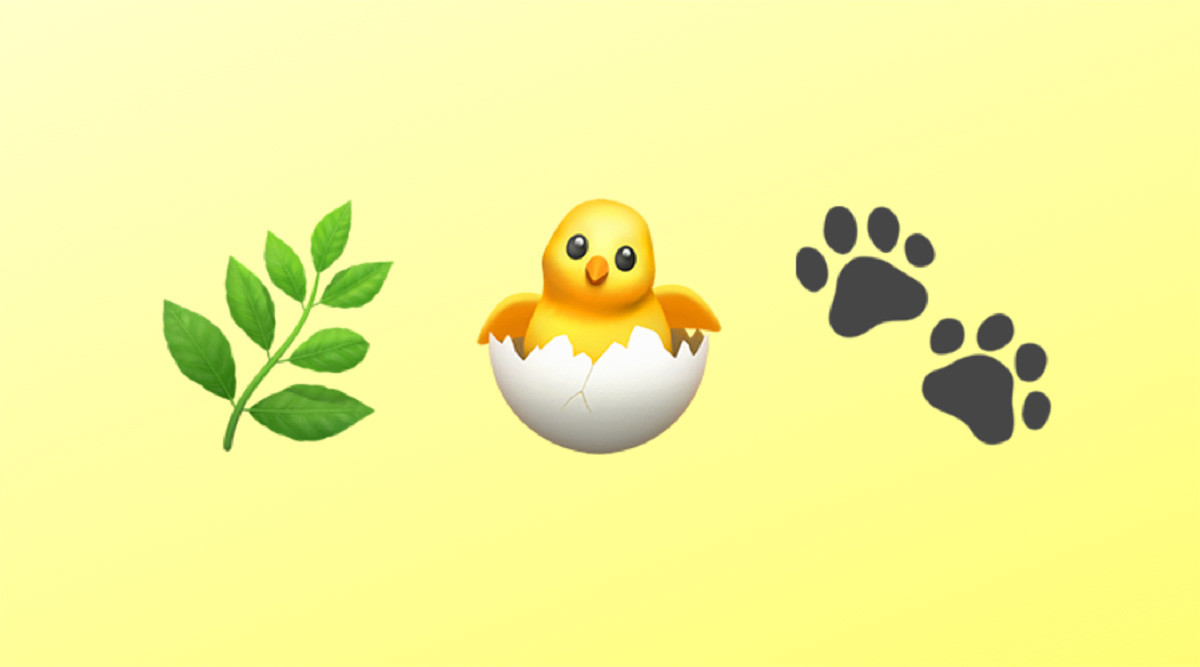 What’s The Difference Between Plant-Based, Vegetarian And Vegan?