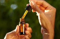 The Hype Behind CBD Oil & Where To Find It In Australia