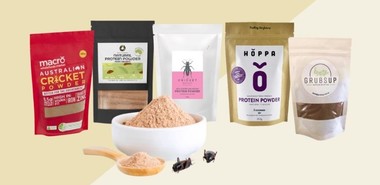 5 Cricket Protein Powders You Can Buy In Australia (& Where The Crickets Come From)