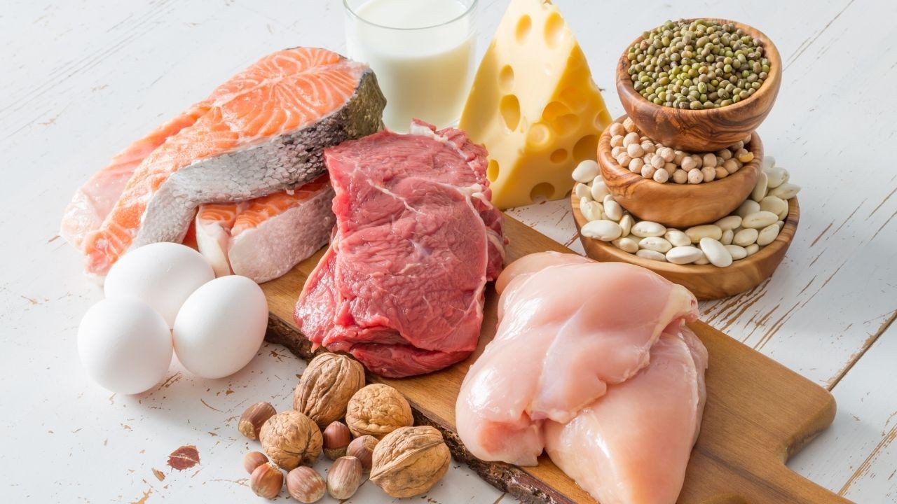 sources of protein