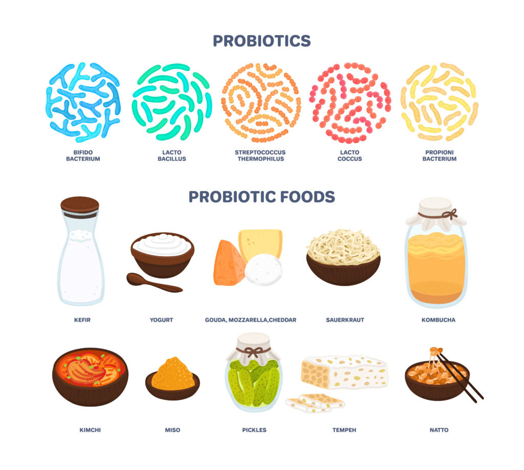 Best sources of probiotics. Beneficial bacteria improve health. Isolated elements is for label, brochure, menu, advertising, article about diets, healthy and proper nutrition