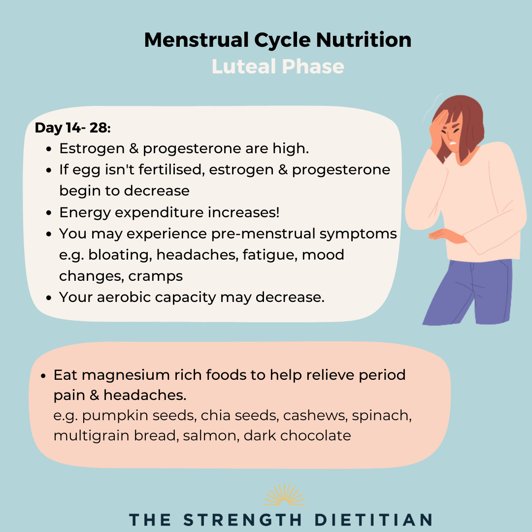 Cycle Syncing What To Eat During Each Phase Of Your Menstrual Cycle Mealprep