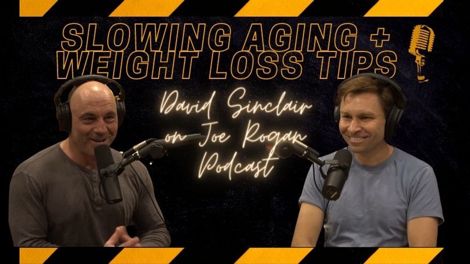 Weight Loss and Slowing Aging – Highlights from David Sinclair on the Joe Rogan Podcast