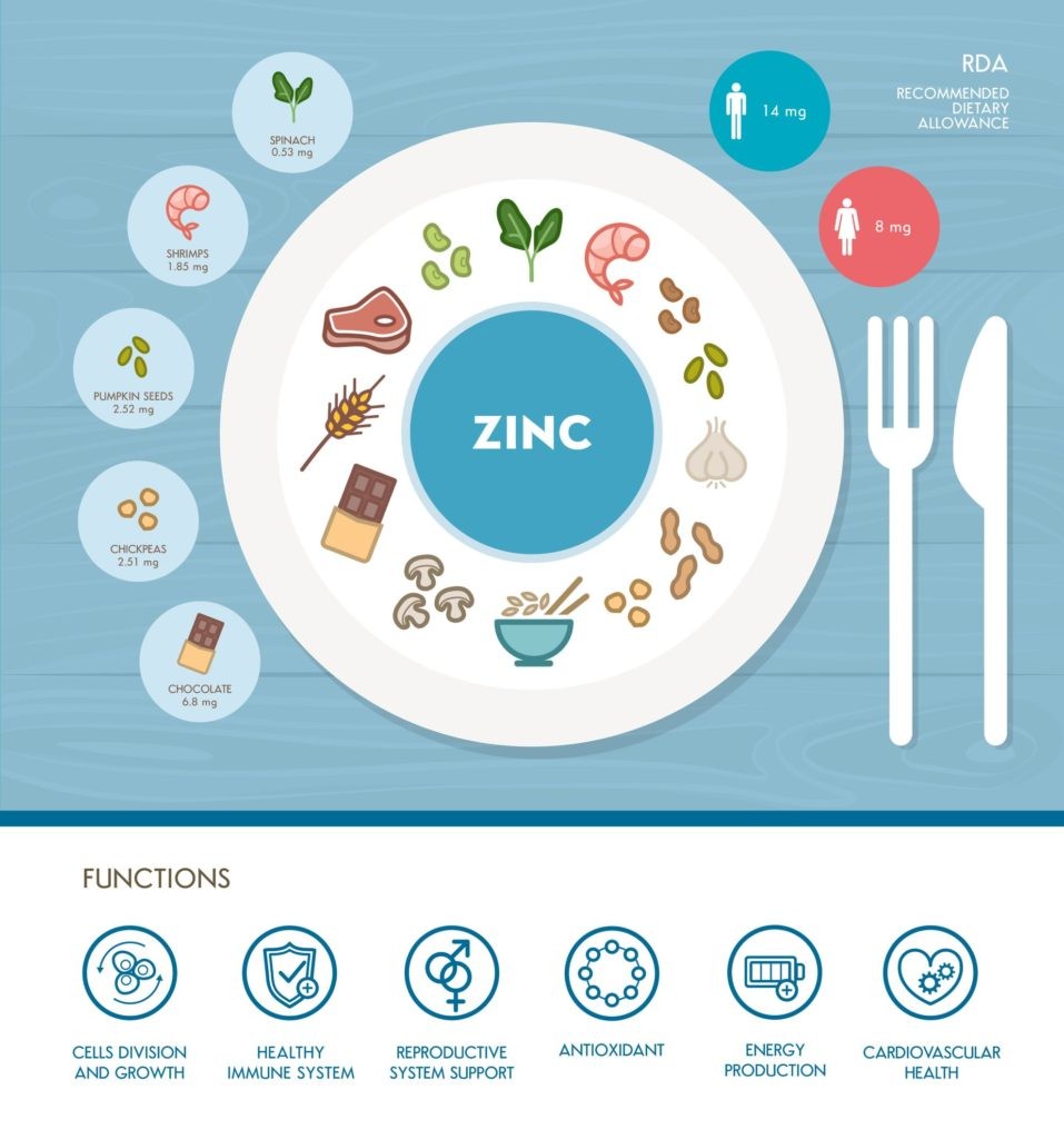 zinc food sources and functions