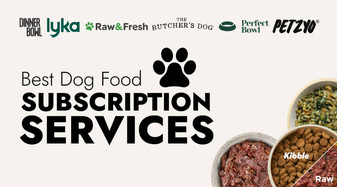6 Best Dog Food Delivery Services in Australia (2023) 🐾