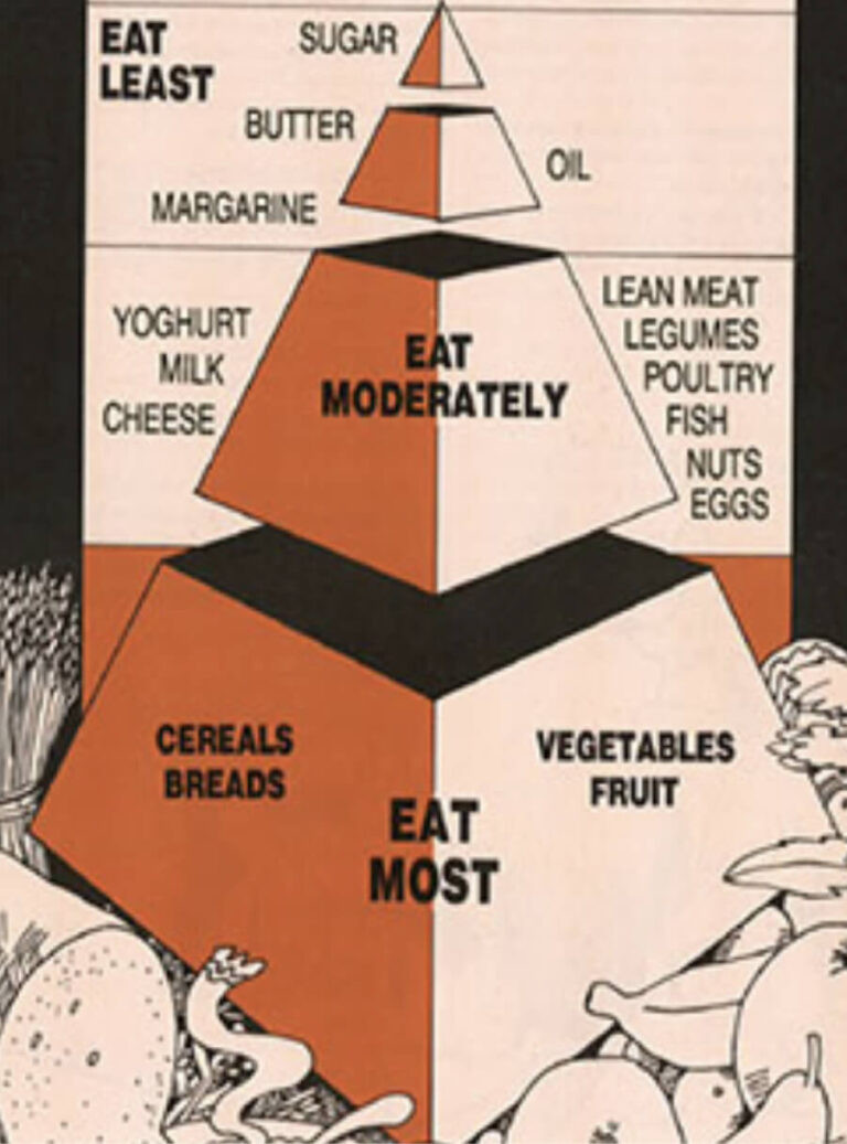 Is the Healthy Eating Pyramid Still Relevant in 2024? MealPrep