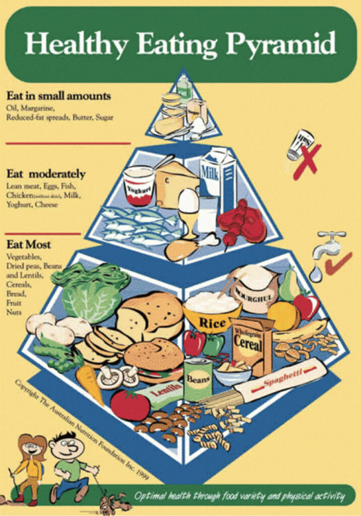 Food Pyramid For 2025 Vivie Bathsheba