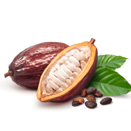 Cacao